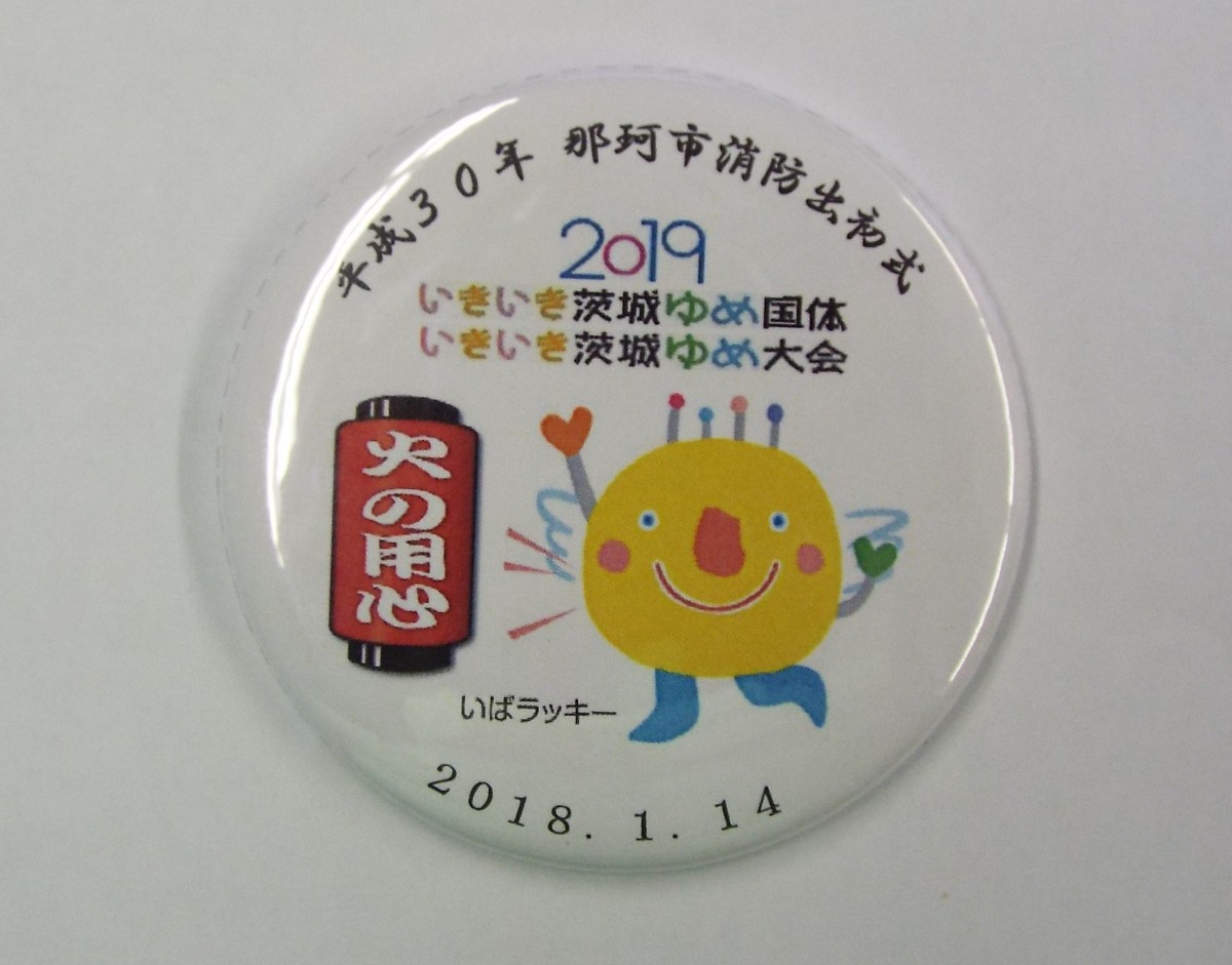 平成30年那珂市消防出初式の写真