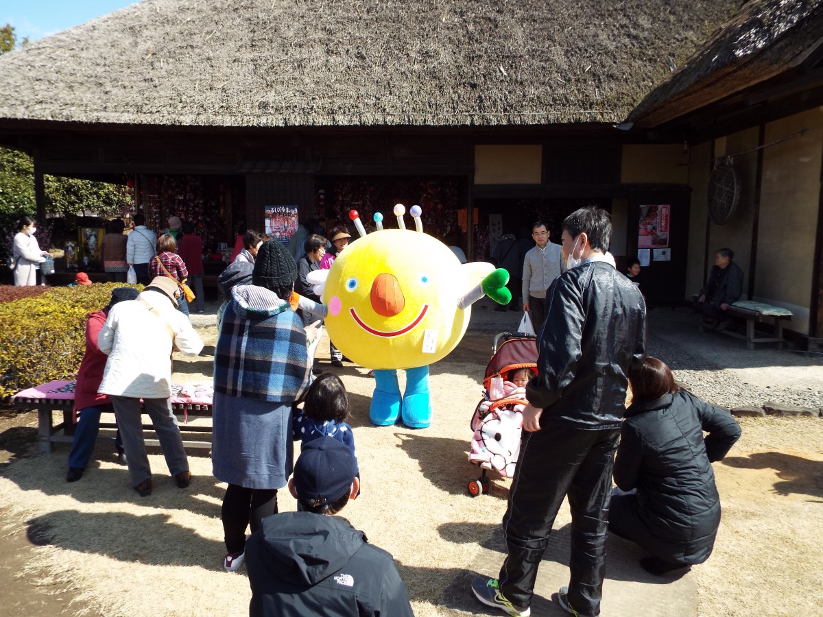 つるしびなまつりの写真