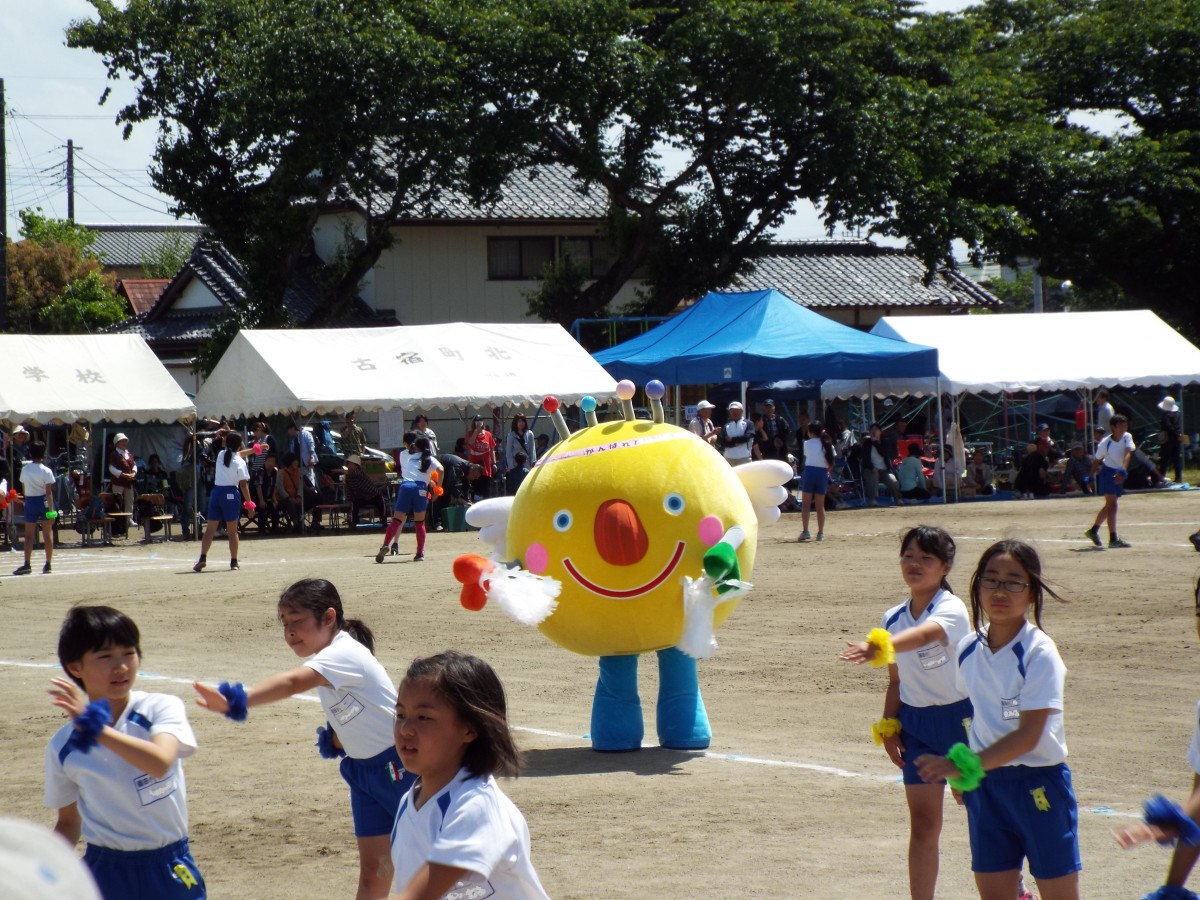 額田小学校運動会の写真