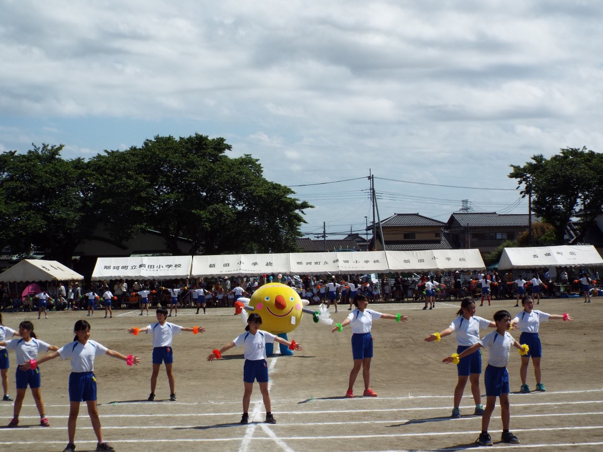 額田小学校運動会の写真
