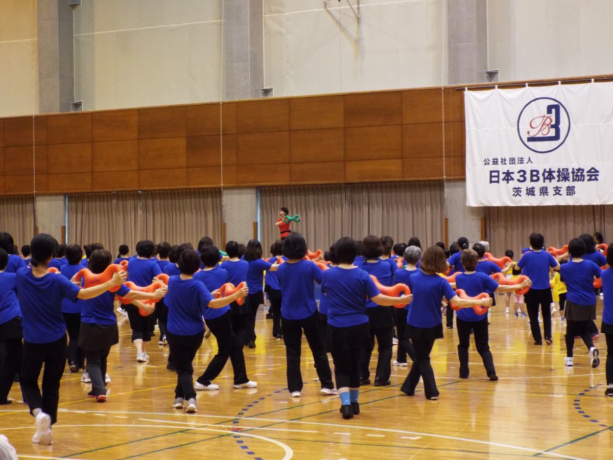 3B体操茨城県支部プレ大会の写真