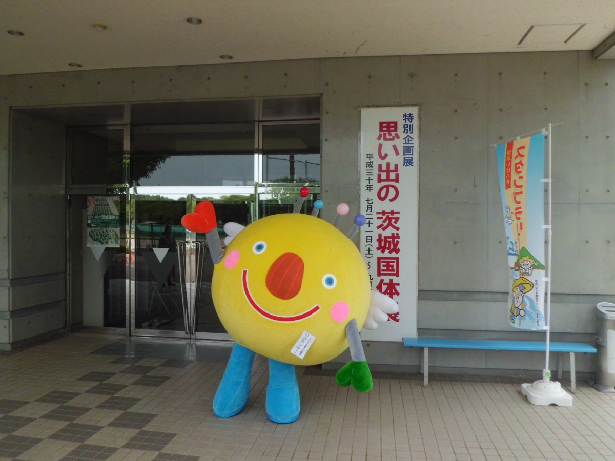 特別企画展『思い出の茨城国体展』の写真