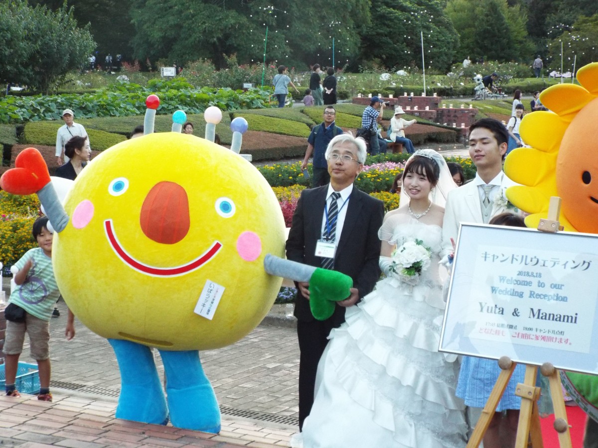 茨城県植物園ナイトガーデンの写真