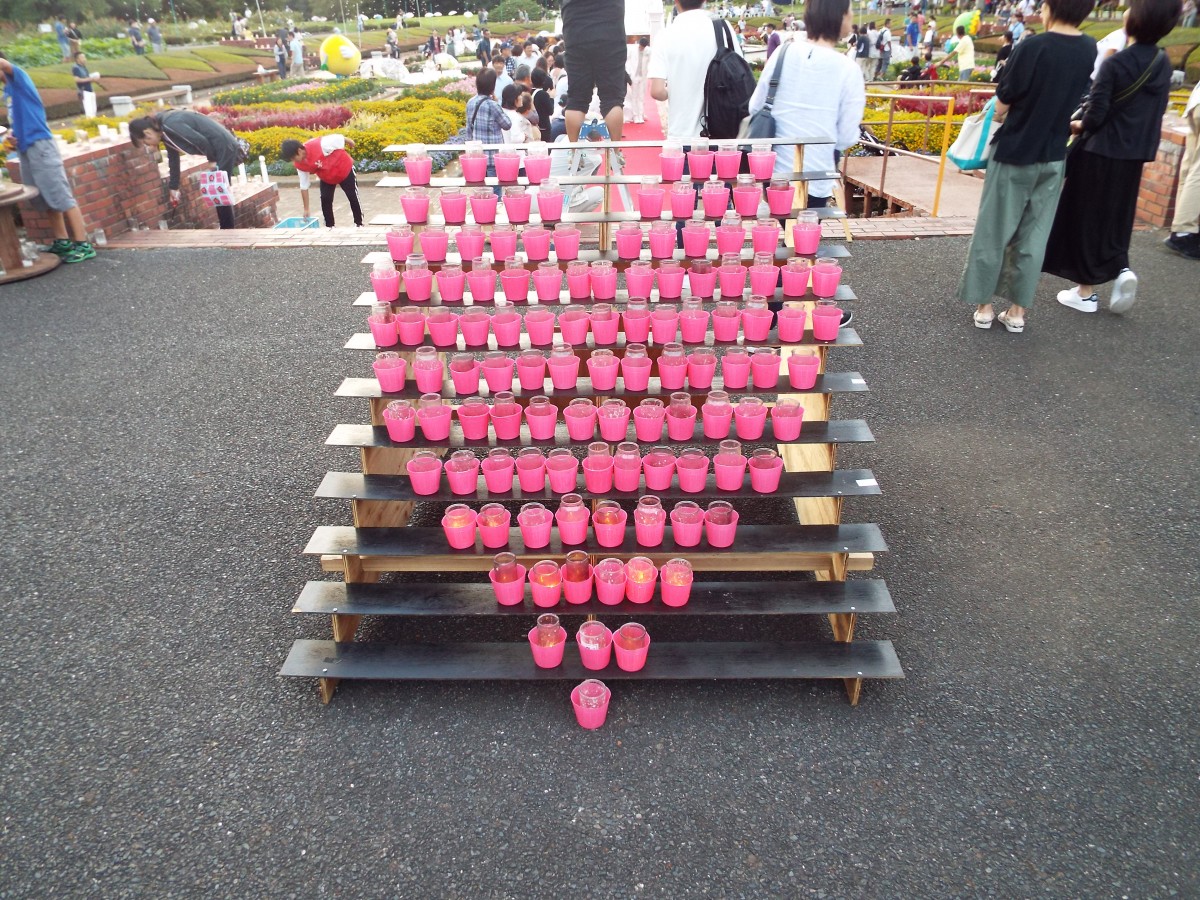 茨城県植物園ナイトガーデンの写真