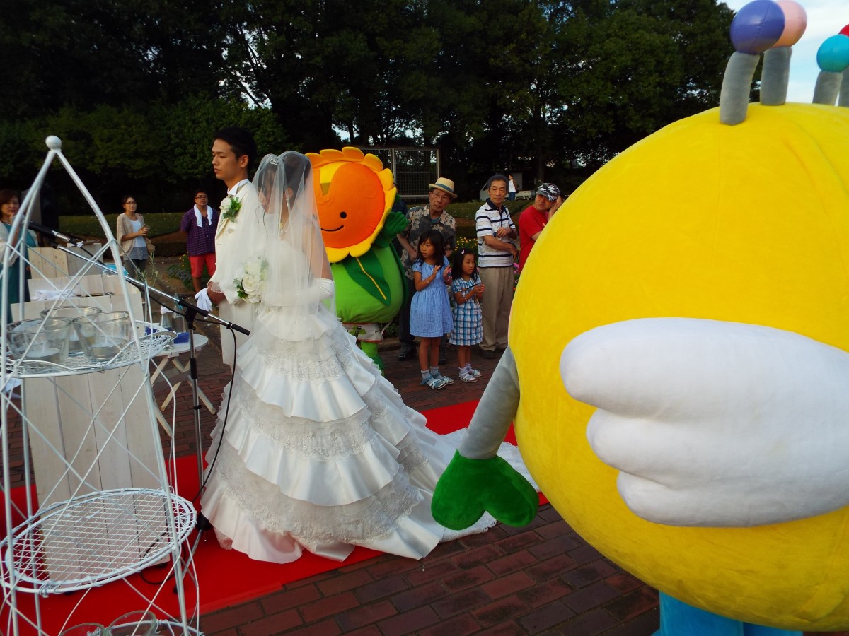 茨城県植物園ナイトガーデンの写真