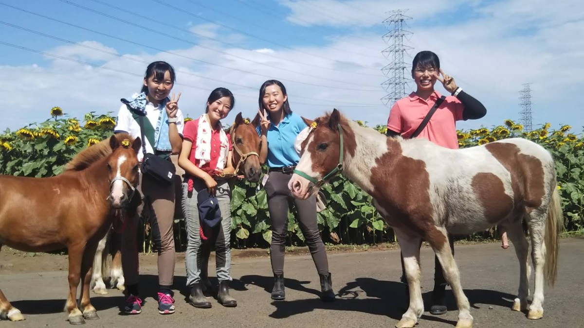 なかひまわりフェスティバル2018の写真