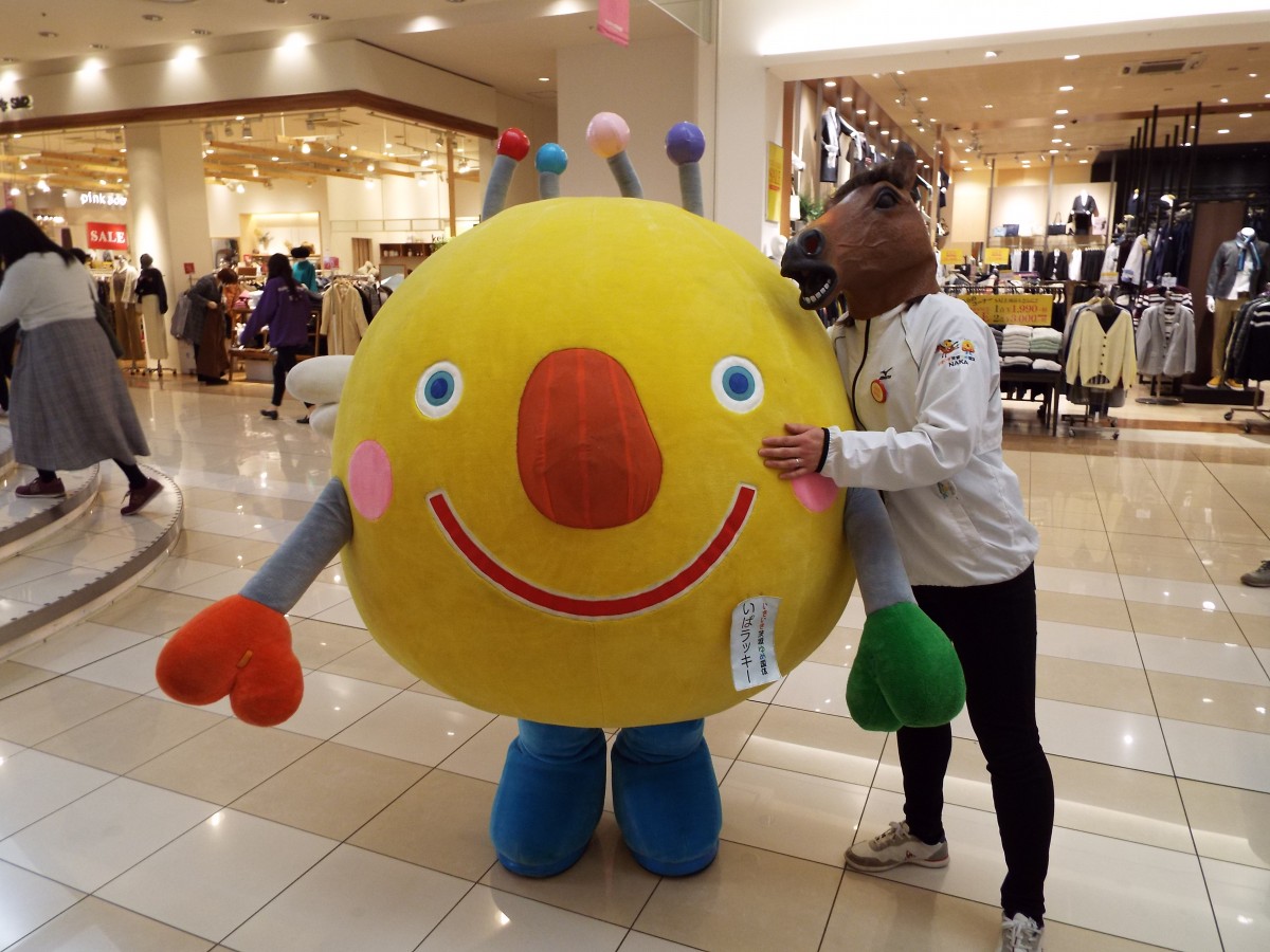 ほしいも品評会の写真