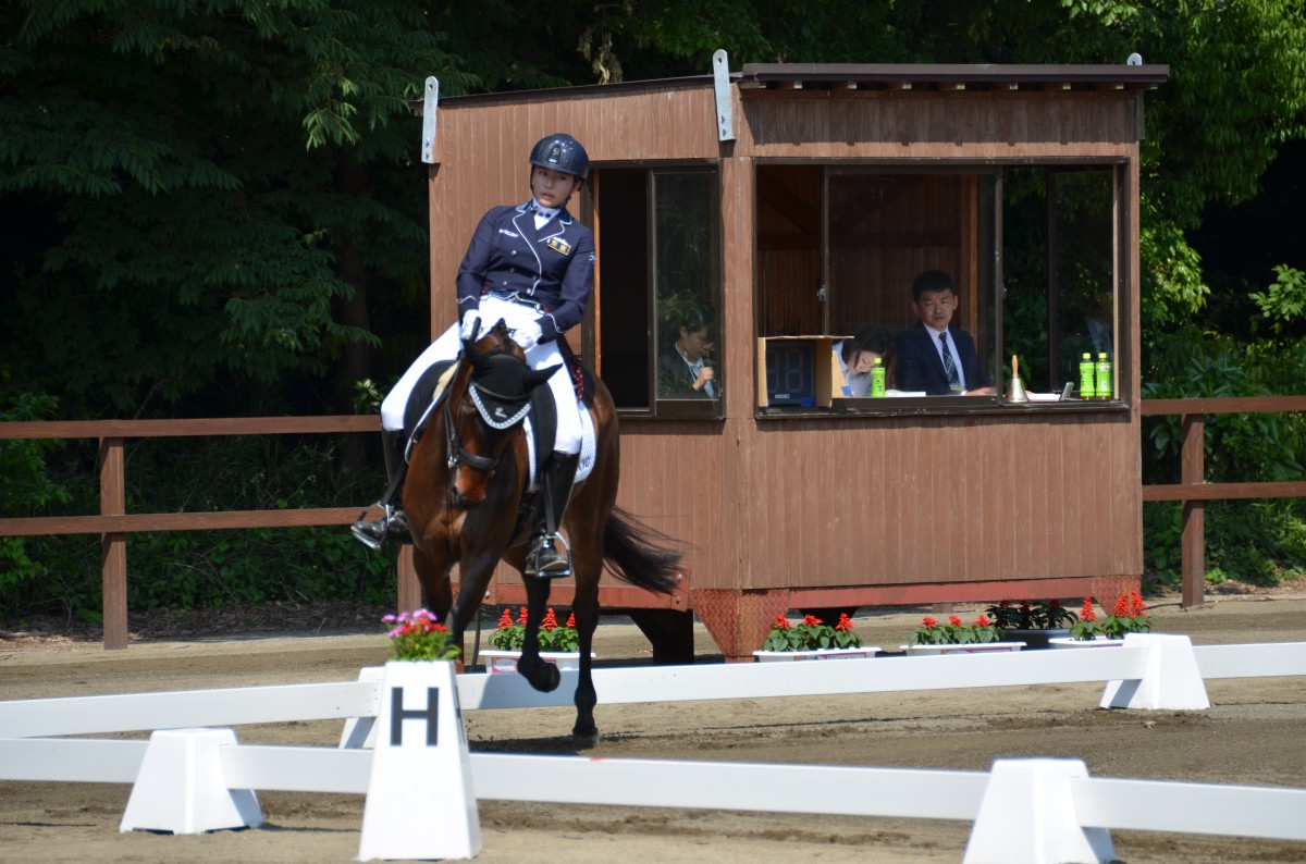 馬術競技リハーサル大会が行われました!の写真