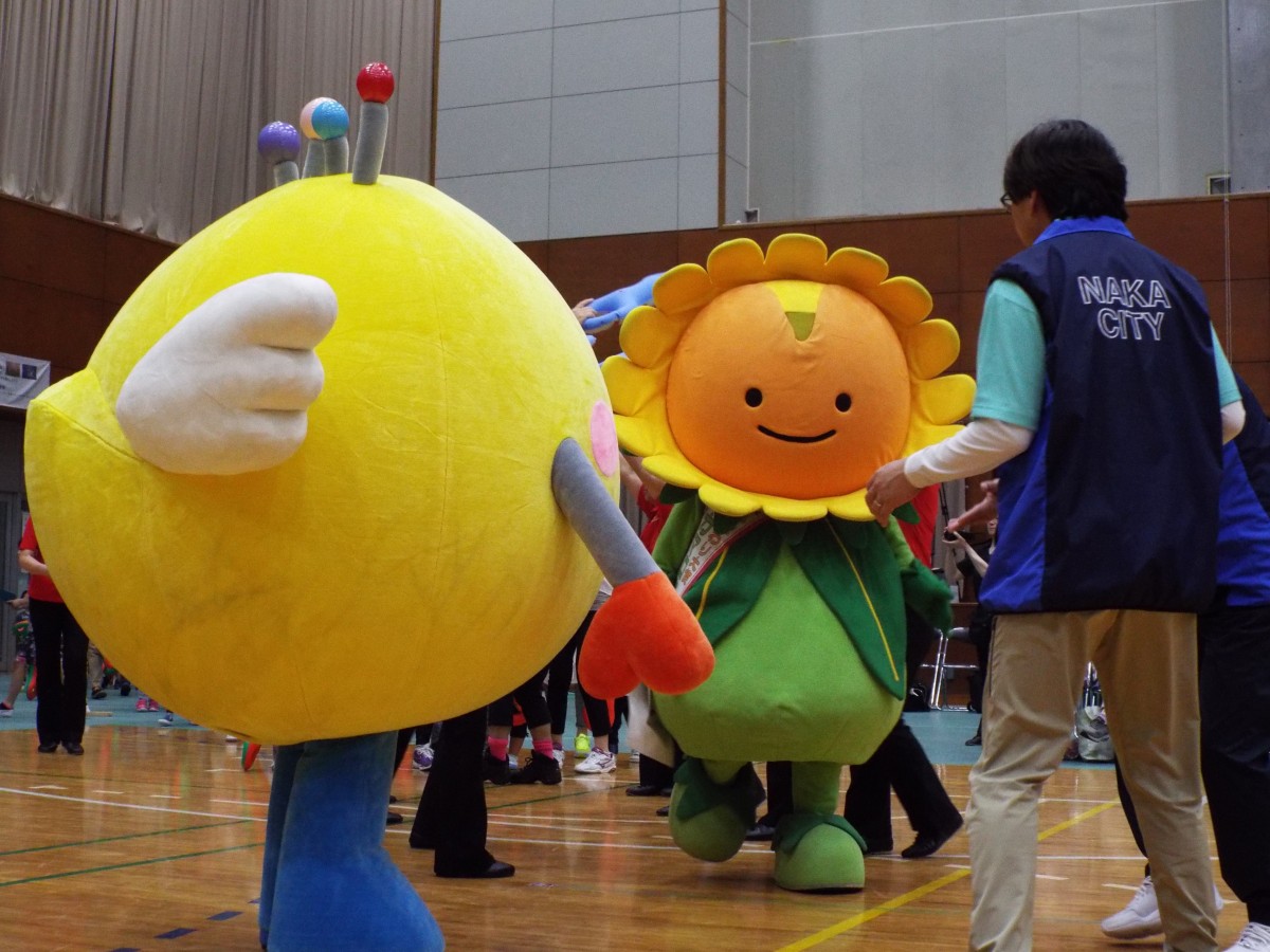 3B体操の写真