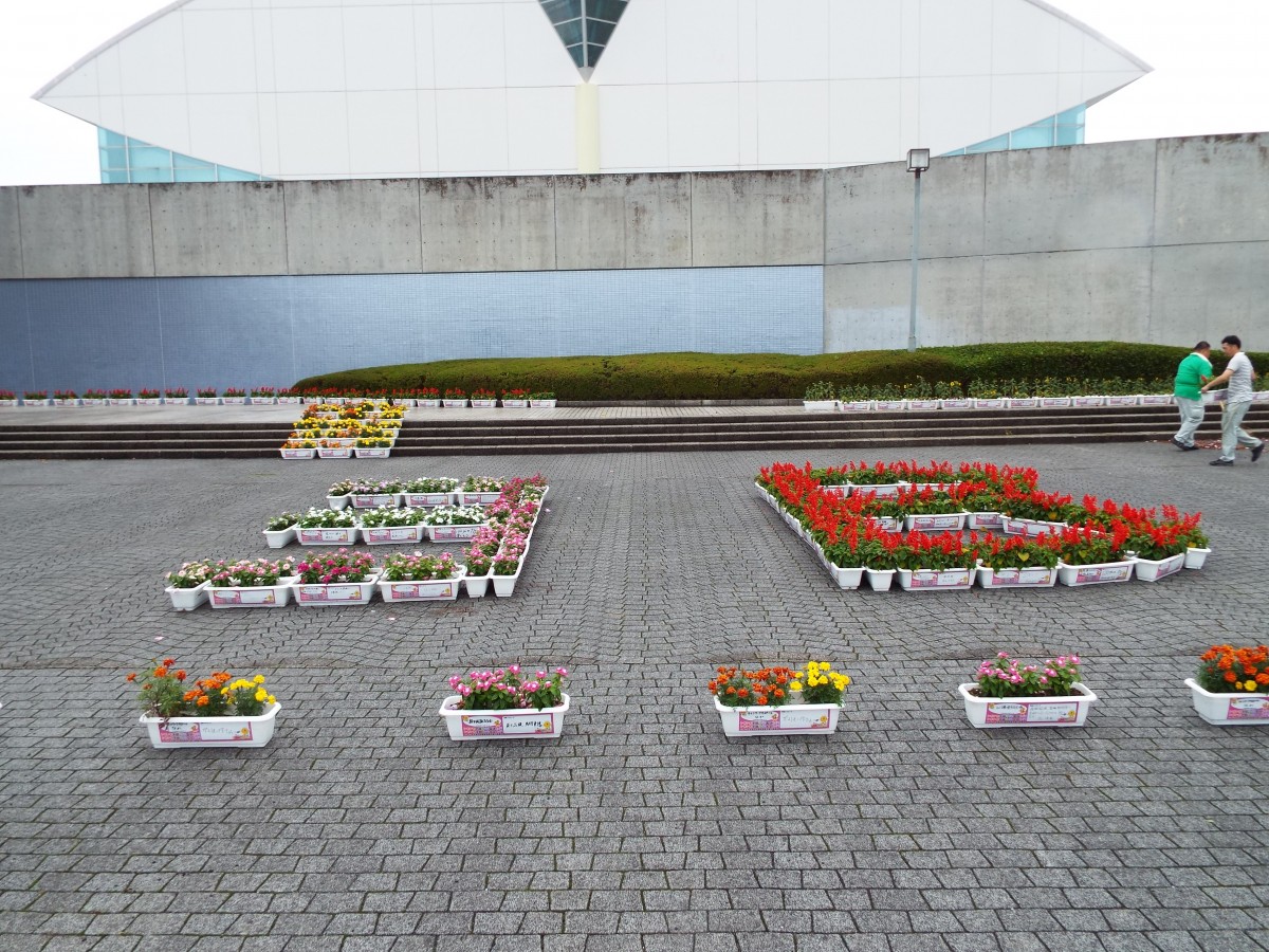 3B体操の写真
