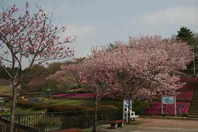 静峰ふるさと公園