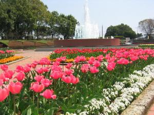 茨城県植物園 熱帯植物館 那珂市公式ホームページ