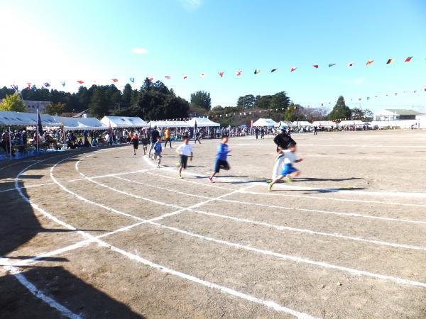 H28菅谷地区市民運動会６