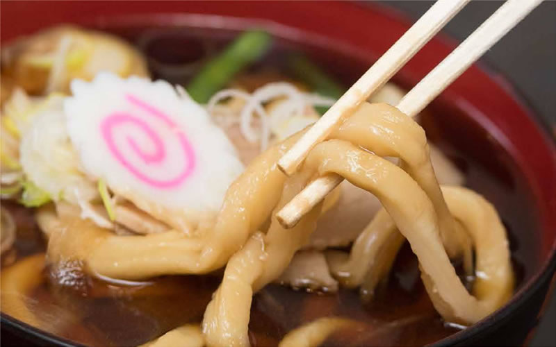 ガッツリうどん