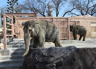 いぃ那珂暮らし おでかけスポット かみね動物園