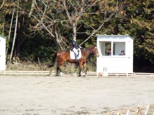 県馬術選手権大会1