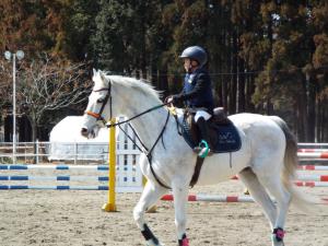 県馬術選手権大会2