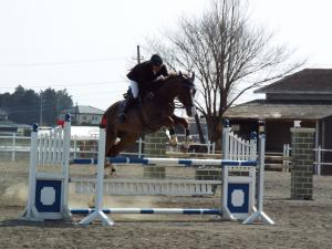 県馬術選手権大会4