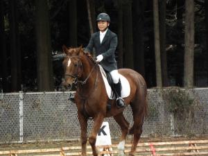 県馬術選手権大会5