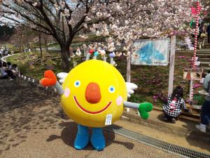 八重桜といばラッキー