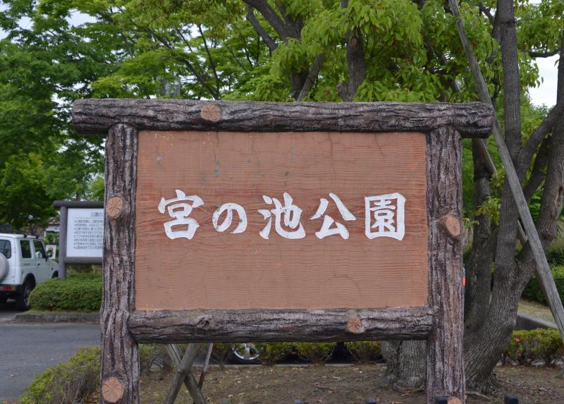 いぃ那珂暮らし　宮の池公園04