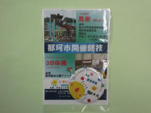 800日前記念マグネット
