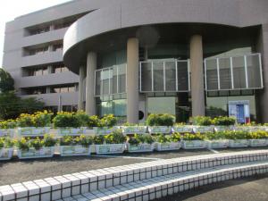 本庁プランター