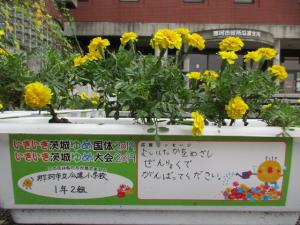 花いっぱい運動応援メッセージ