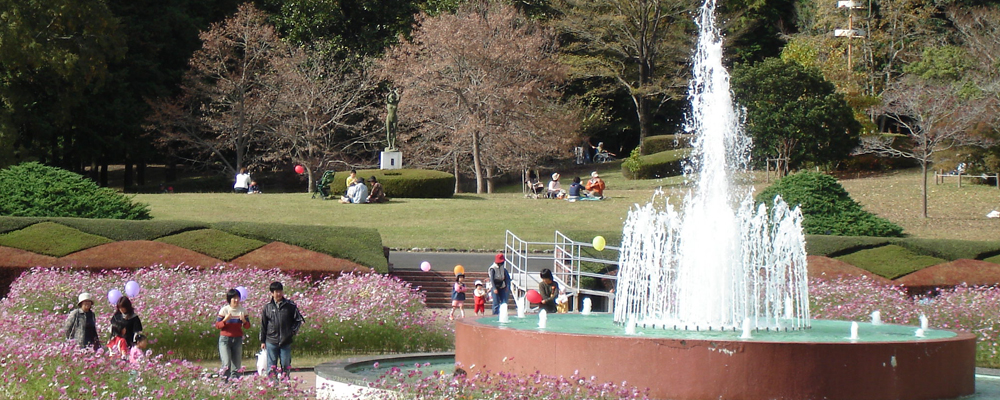 おススメスポット（植物園秋花壇）