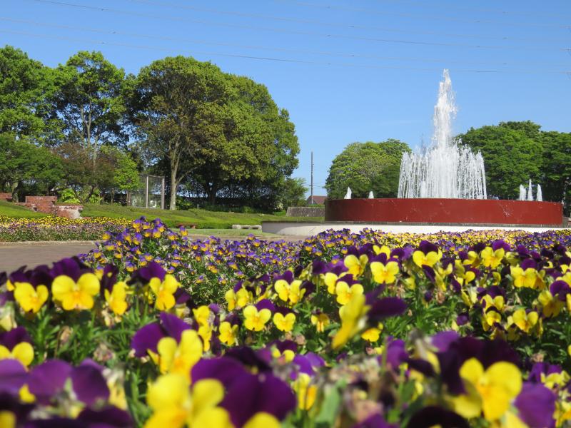 植物園の噴水