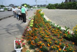 0709優秀賞（一の関西フラワーロード）