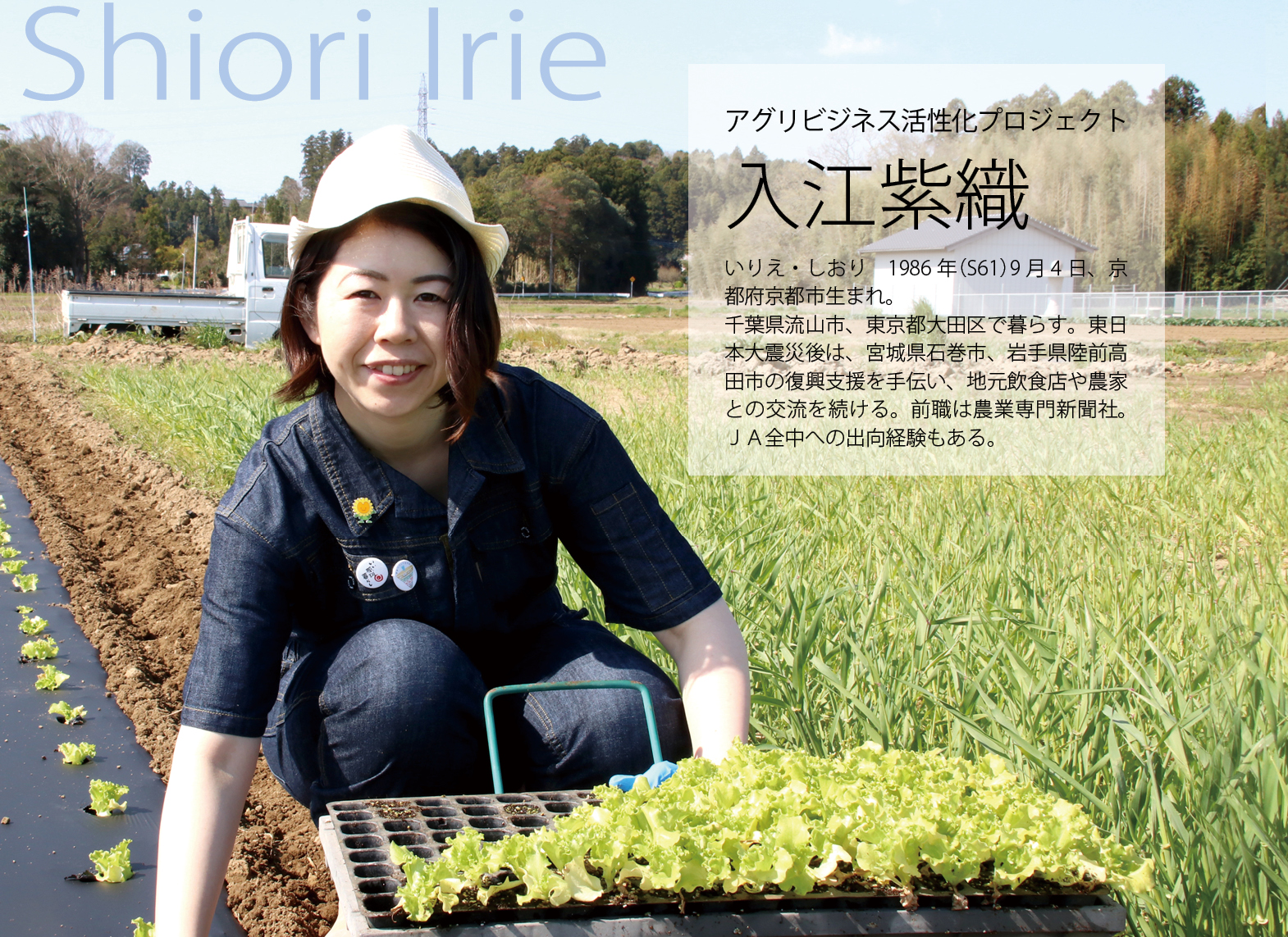入江（全入り）