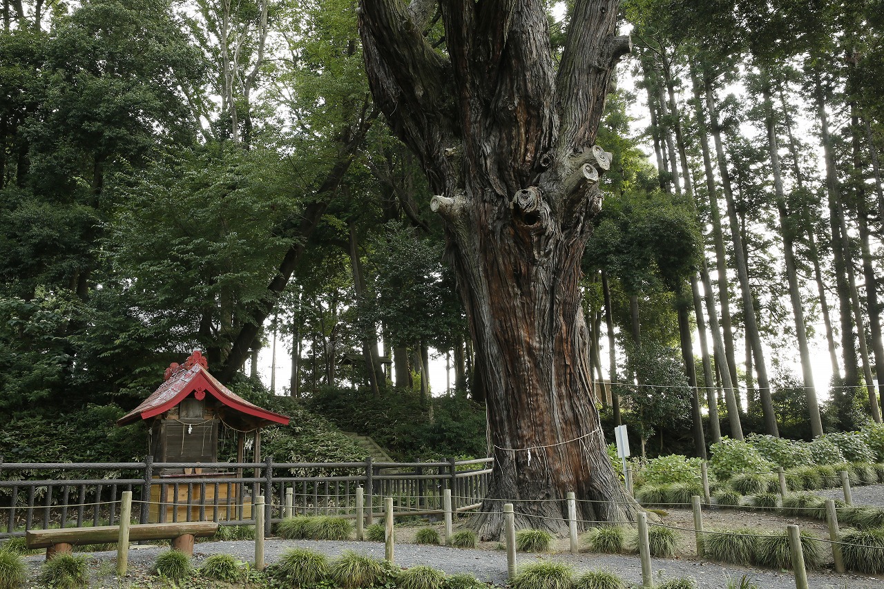 清水洞の上公園２