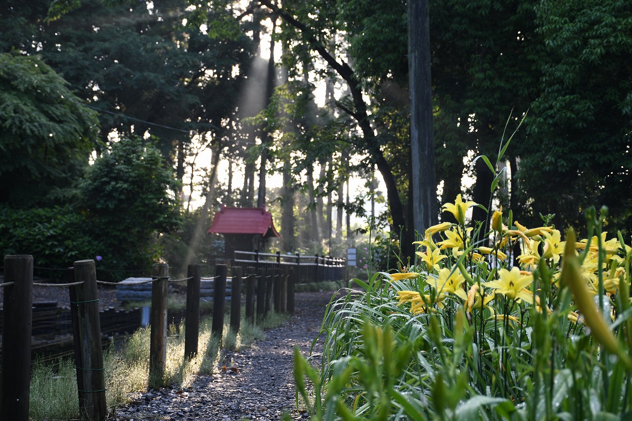 清水洞の上公園８