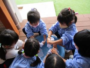 毎月の園の様子 那珂市公式ホームページ