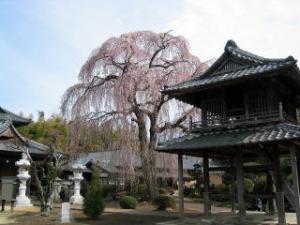 阿弥陀寺