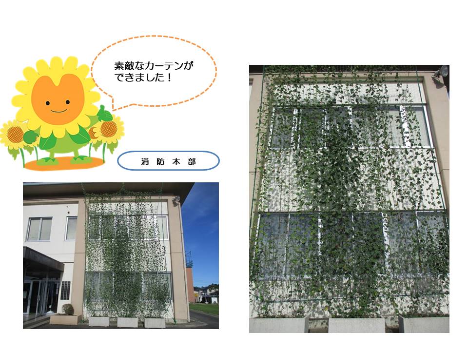 令和3年度 那珂市グリーンカーテンの取り組みについて 那珂市公式ホームページ