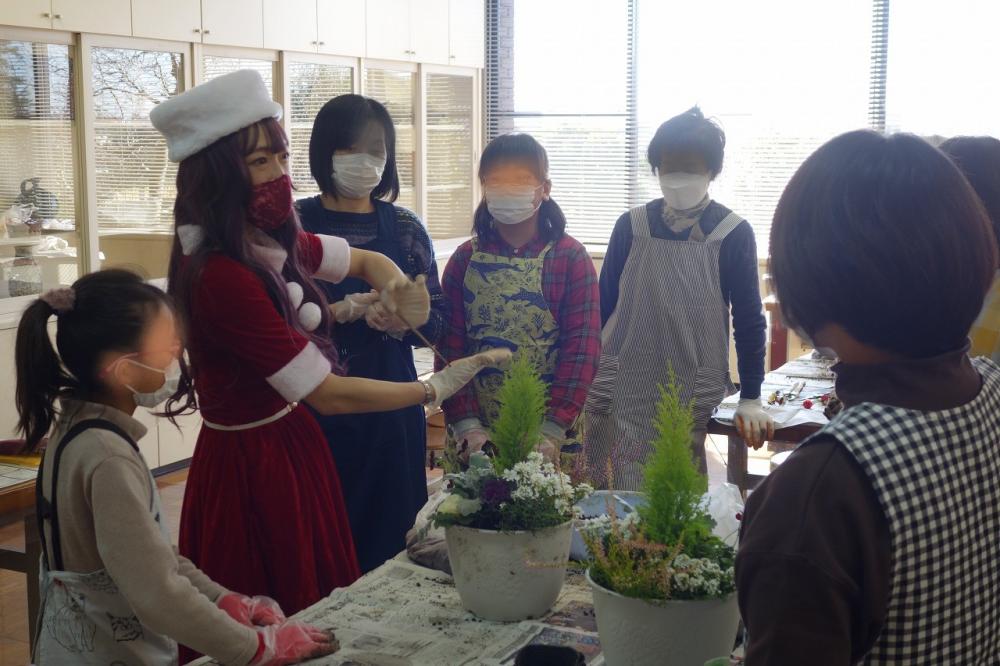 ４　クリスマスの寄せ植え