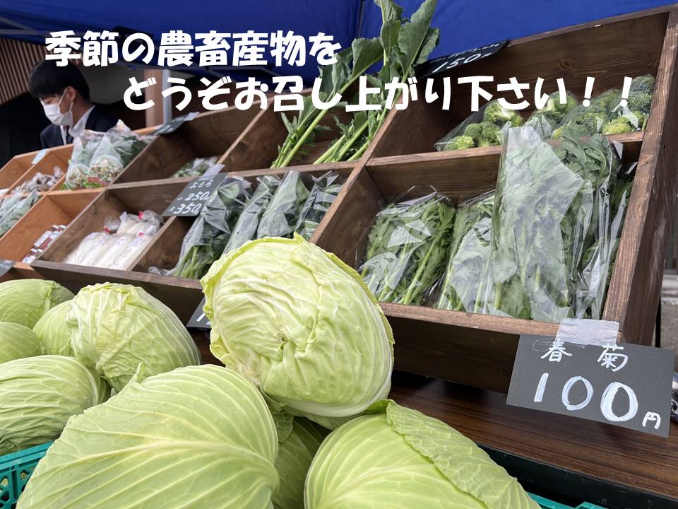 個別販売（野菜1）