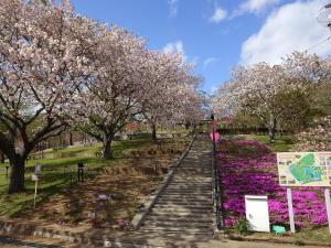 静峰ふるさと公園10