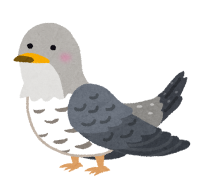 鳥