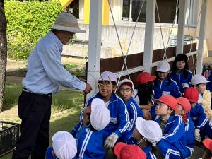 額田稲刈り１