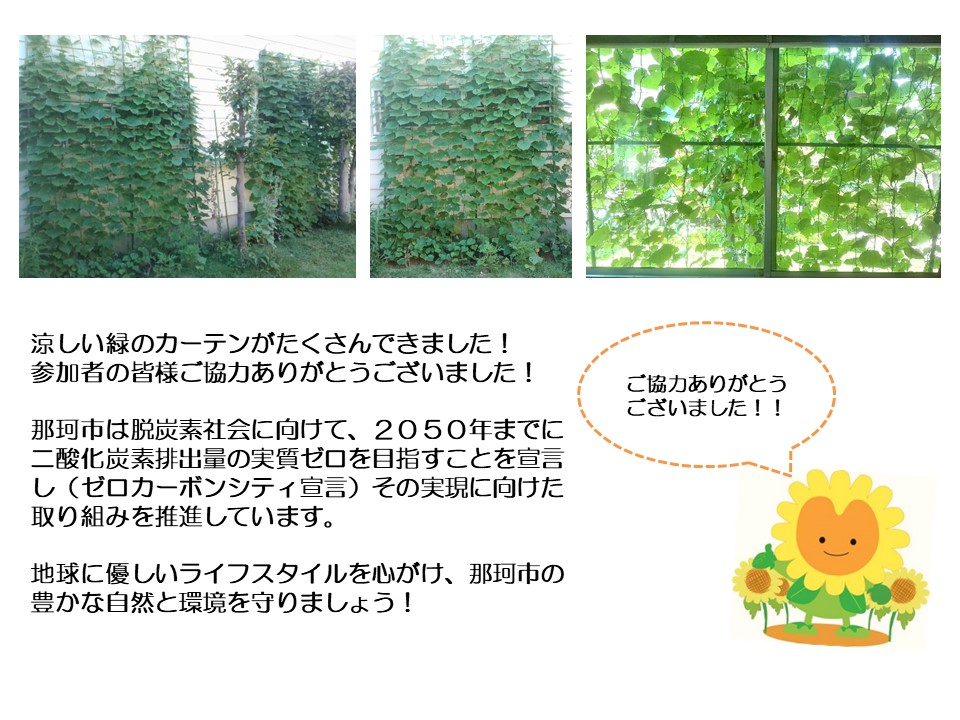 グリーンカーテン７