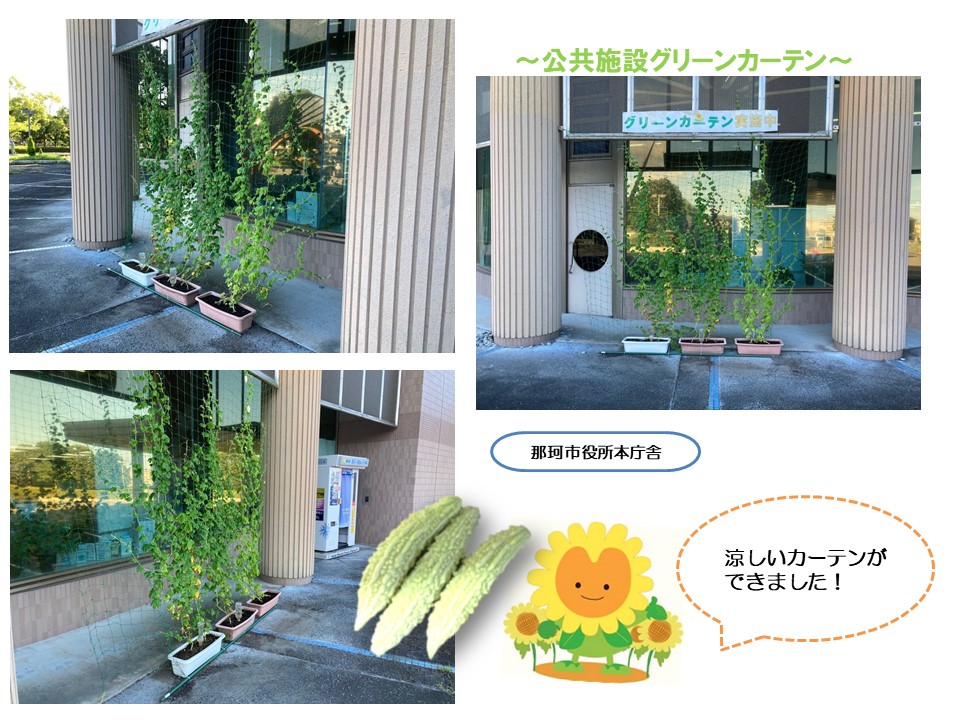 グリーンカーテン８