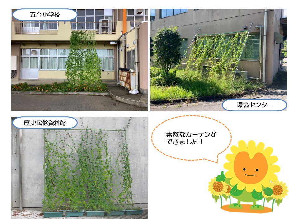 グリーンカーテン１０