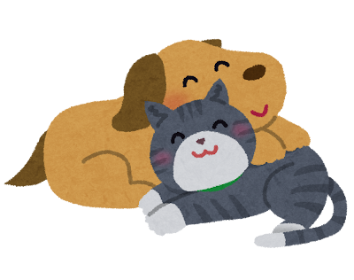 犬と猫