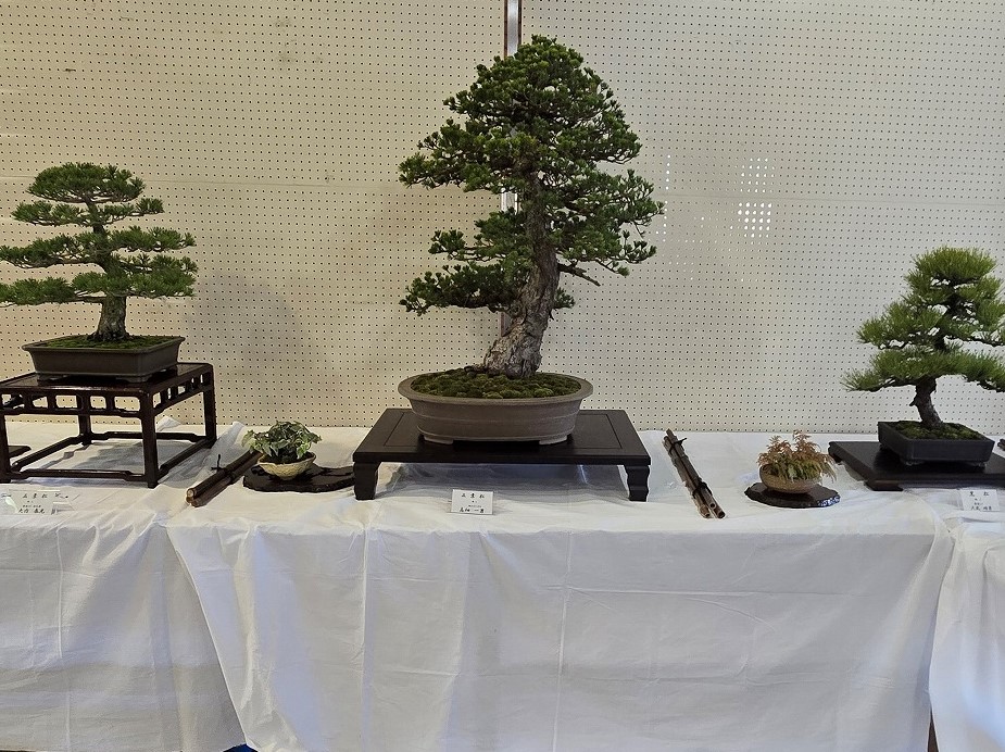 樹楽会の展示