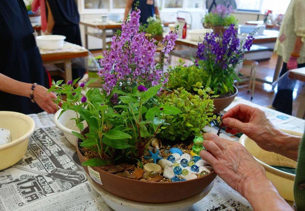 基本の寄せ植えの画像