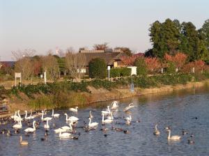 一の関ため池親水公園