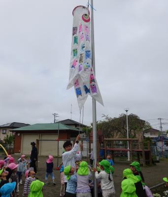 サンプル画像